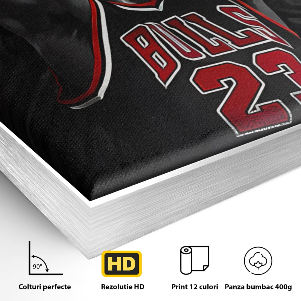 Detaliu al suprafetei: tablou canvas cu michael jordan in actiune, in rama de aluminiu argintiu